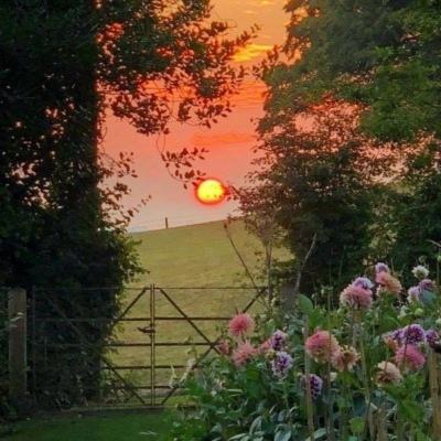 乐鱼官网手机app下载