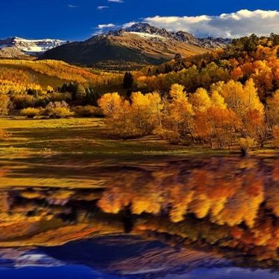 998娱乐彩票安卓APP手机app下载